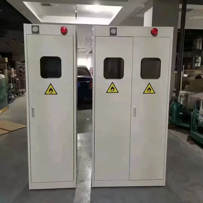 Gas cylinder storage cabinet single door