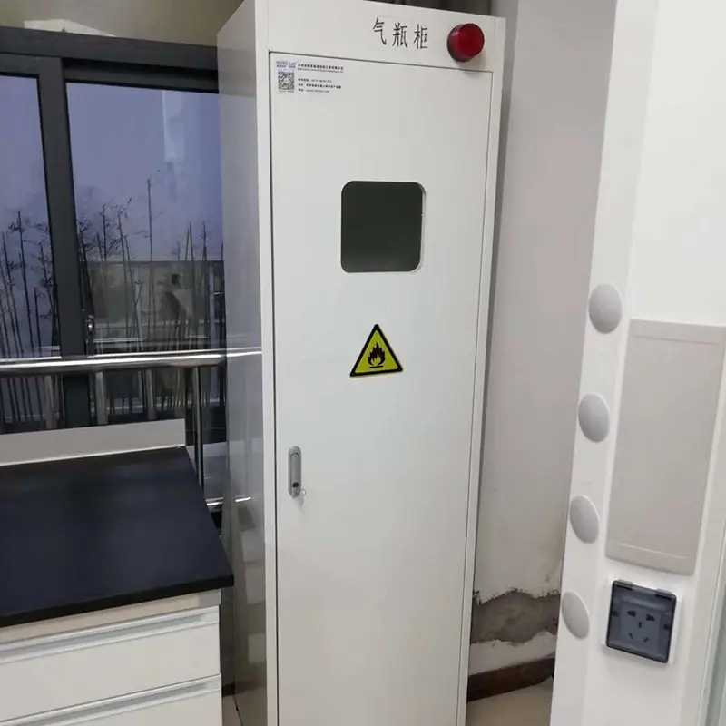Laboratory gas cabinet construction details