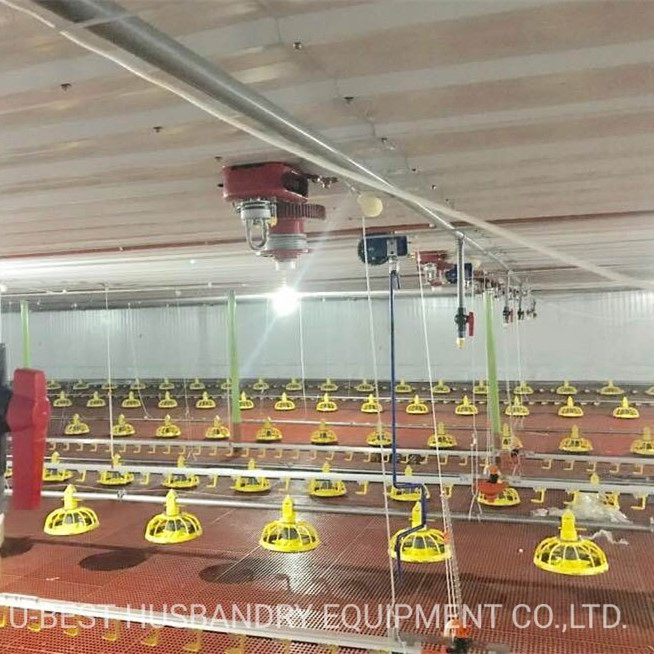 Broiler Chicken Floor Feeding System