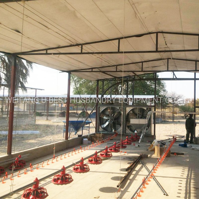 Chicken House Automatic Pan Feeder Broiler Nipple Drinking System