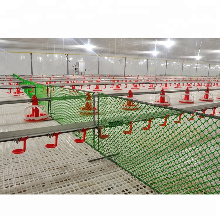 Chicken House Steel Structure Design Tunnel Broiler Machine Poultry Feeding Farm System