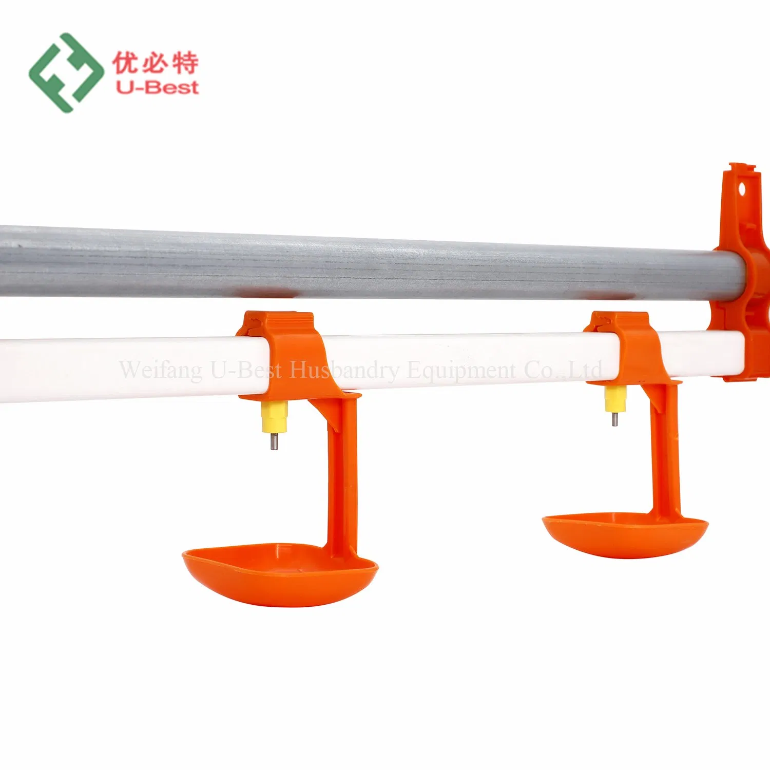 Hot Sale Automatic Broiler Feeding Pan System and Drinking System for Poultry House