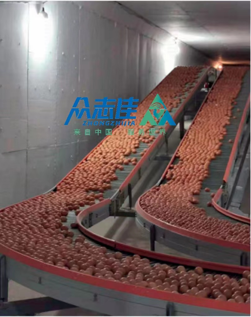 Customized 3-12 Tiers Poultry Farming Equipment H Type Chicken Battery Layer Broiler Cage System