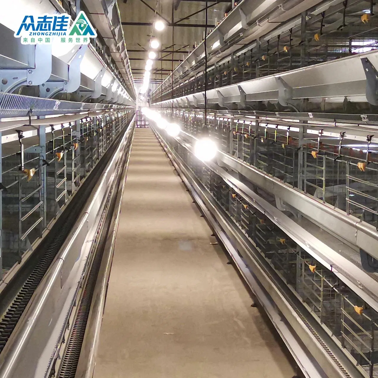 Automatic Layer Poultry Farming Equipment Battery Chicken Egg Cage System Galvanized Sale in Philippines