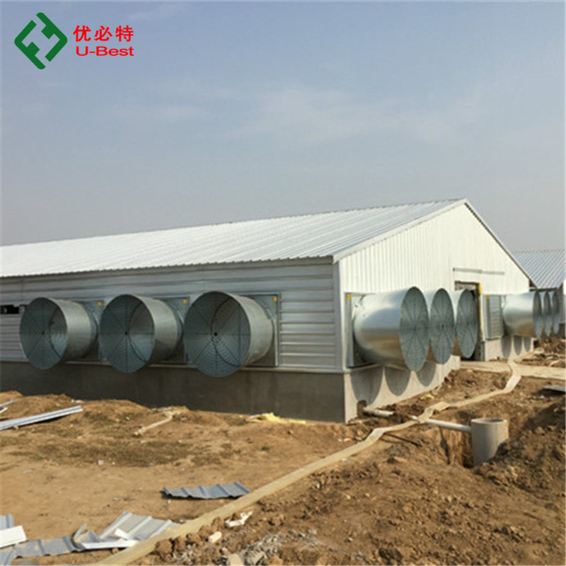 Automatic Poultry Farming Equipment Chicken House Broiler Pan Feeding System