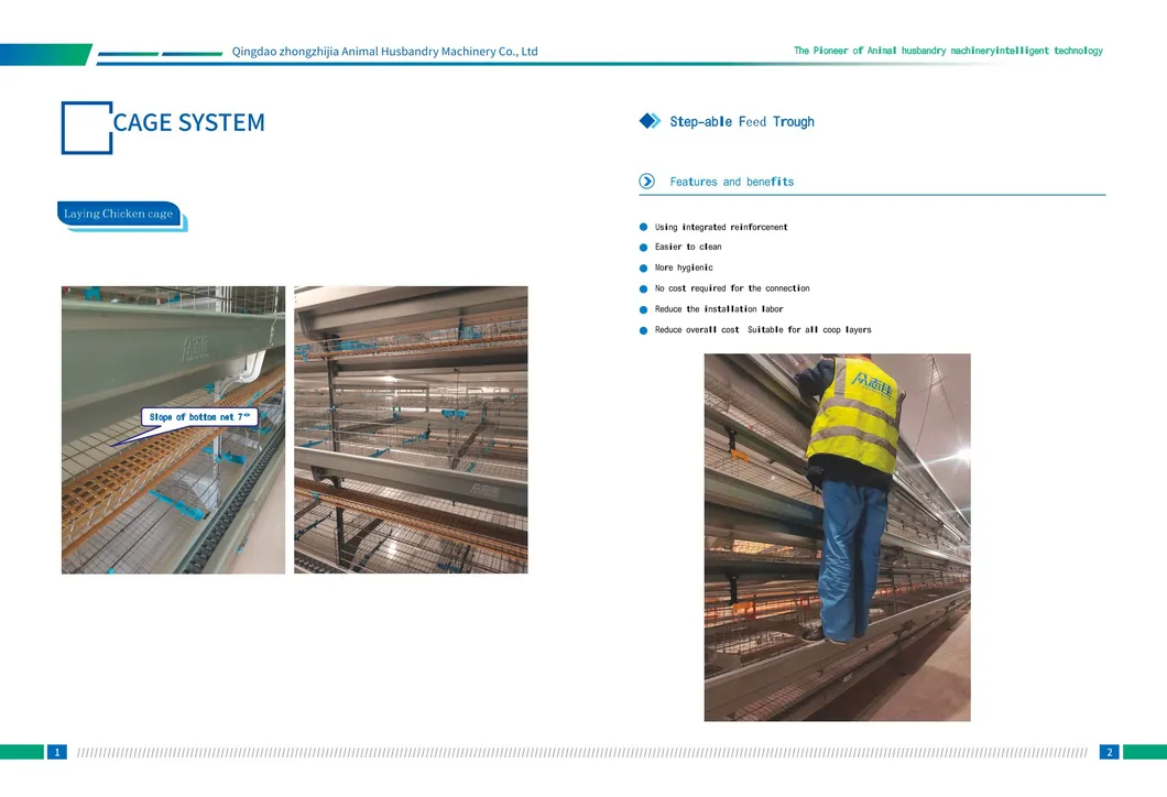 Poultry Automatic Feeding System