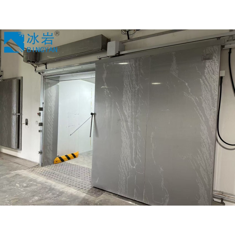 Manufacturer Best Selling High-Speed Anti-Collision Cold Storage Door