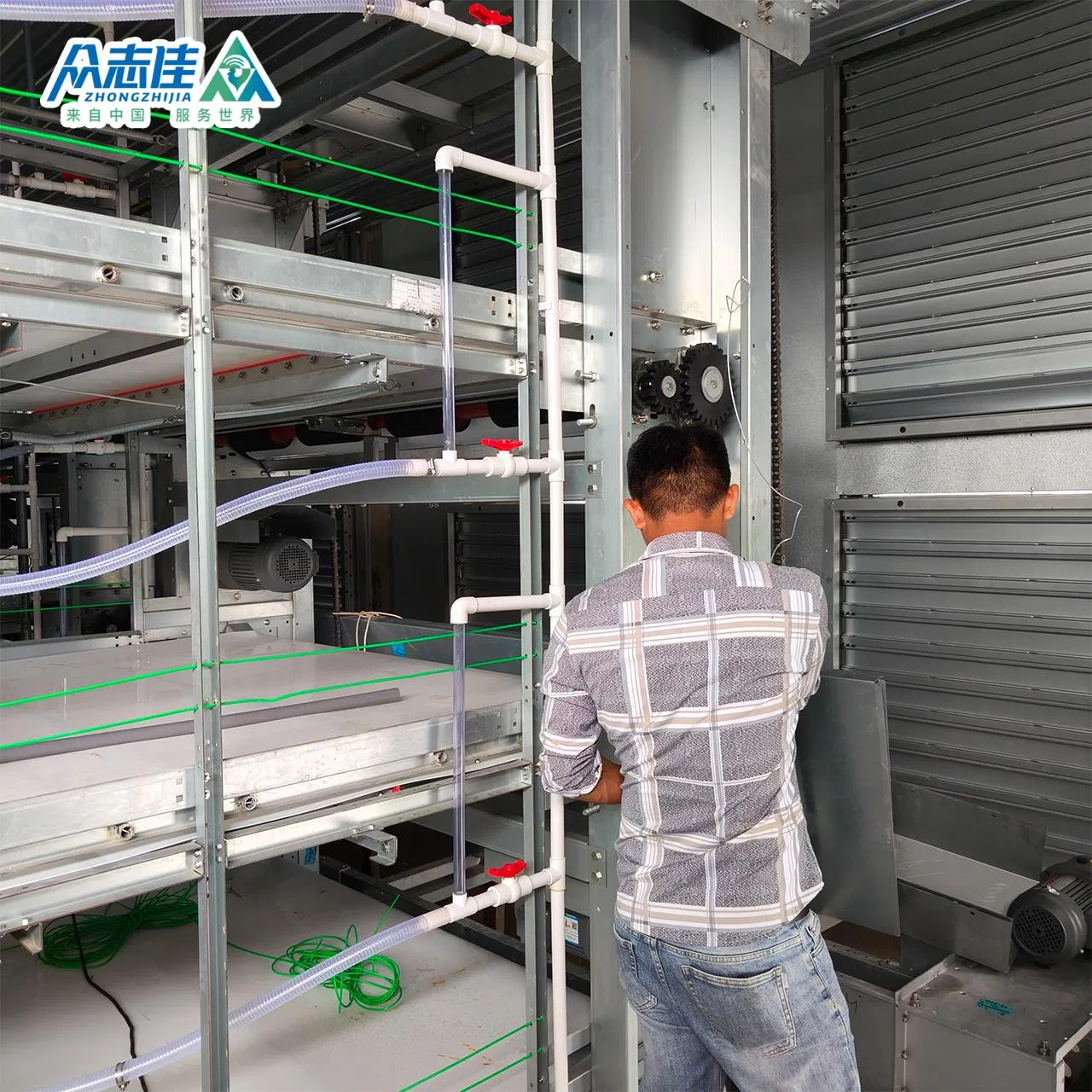 2026 Factory Direct Selling Chicken Equipment and Poultry Control Shed Equipment/Broiler Feeding System and Ventilation System Made in China