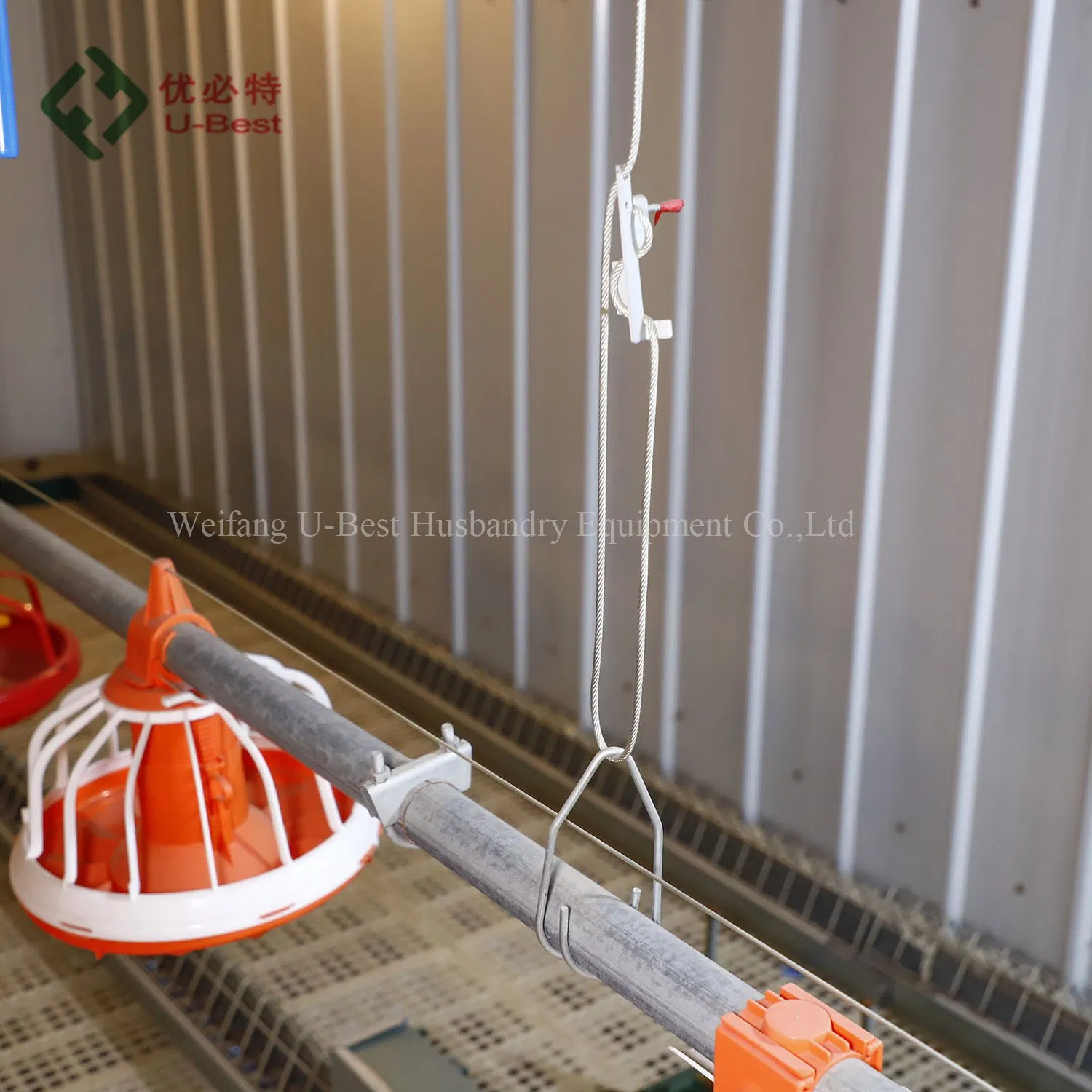 Hot Sale Automatic Broiler Feeding Pan System and Drinking System for Poultry House