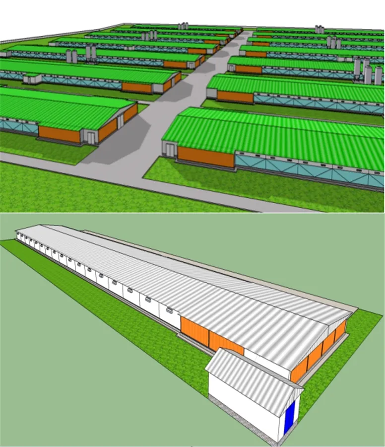 Model picture of chicken farm
