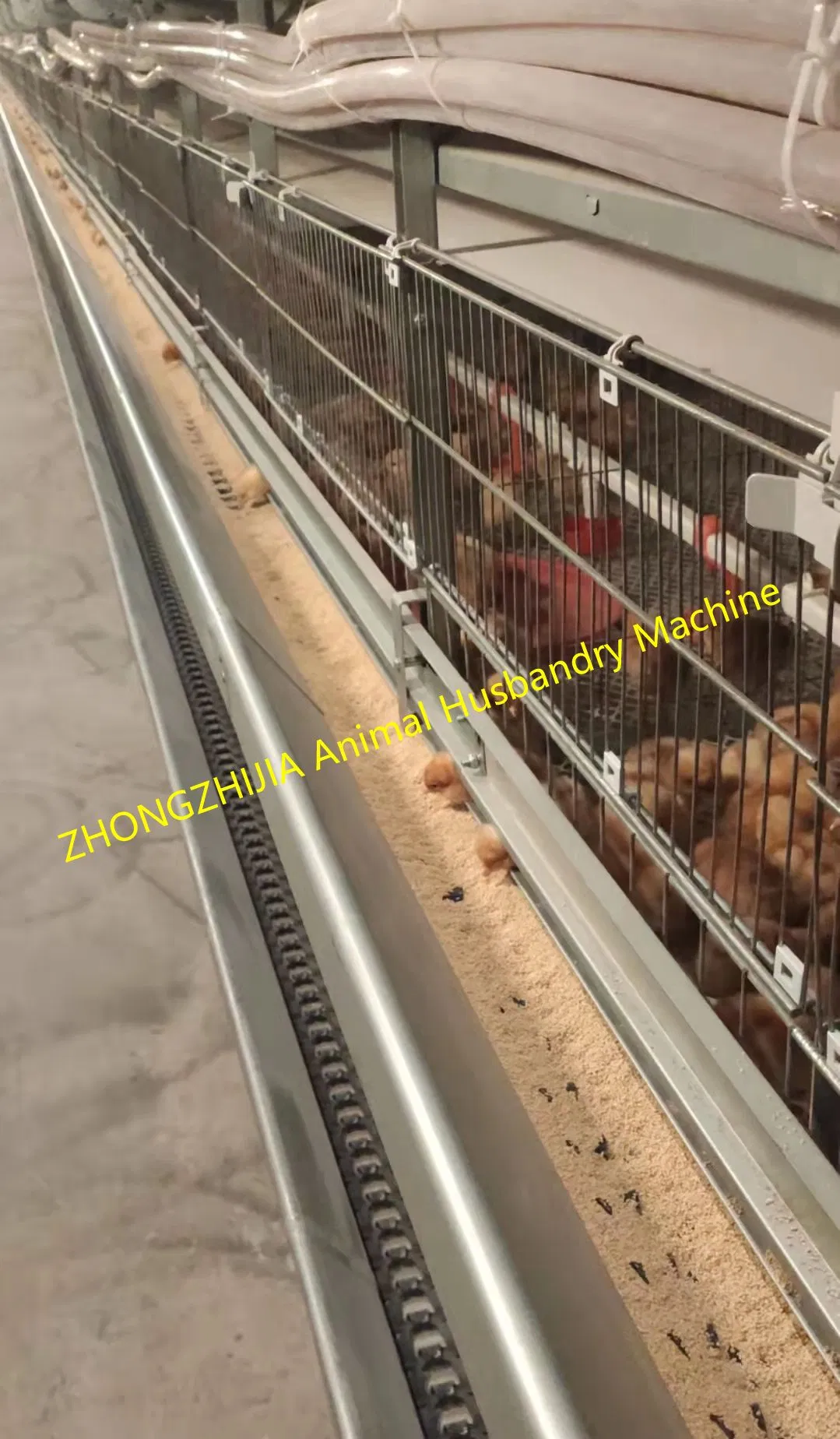 Factory Direct Sales Chicken Farm Equipment Laying Hen/Broiler Manure Cleaning Spray System Epidemic Prevention/Made in China