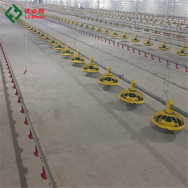 Automatic Poultry Farming Equipment Chicken House Broiler Pan Feeding System