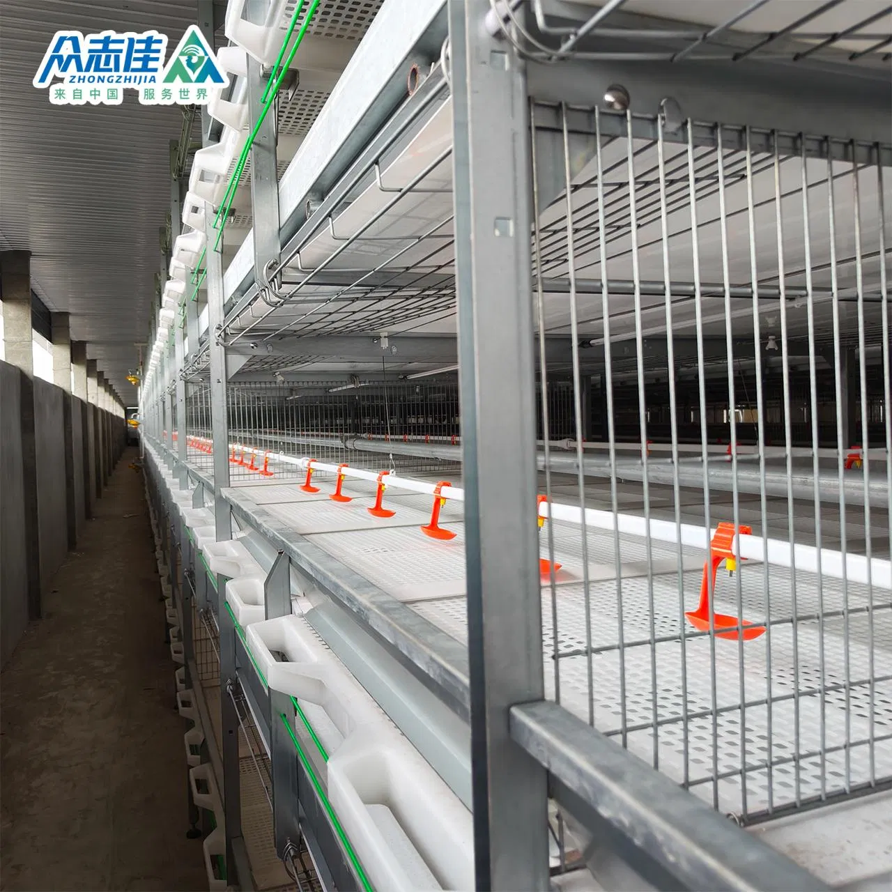 2026 Factory Direct Selling Chicken Equipment and Poultry Control Shed Equipment/Broiler Feeding System and Ventilation System Made in China