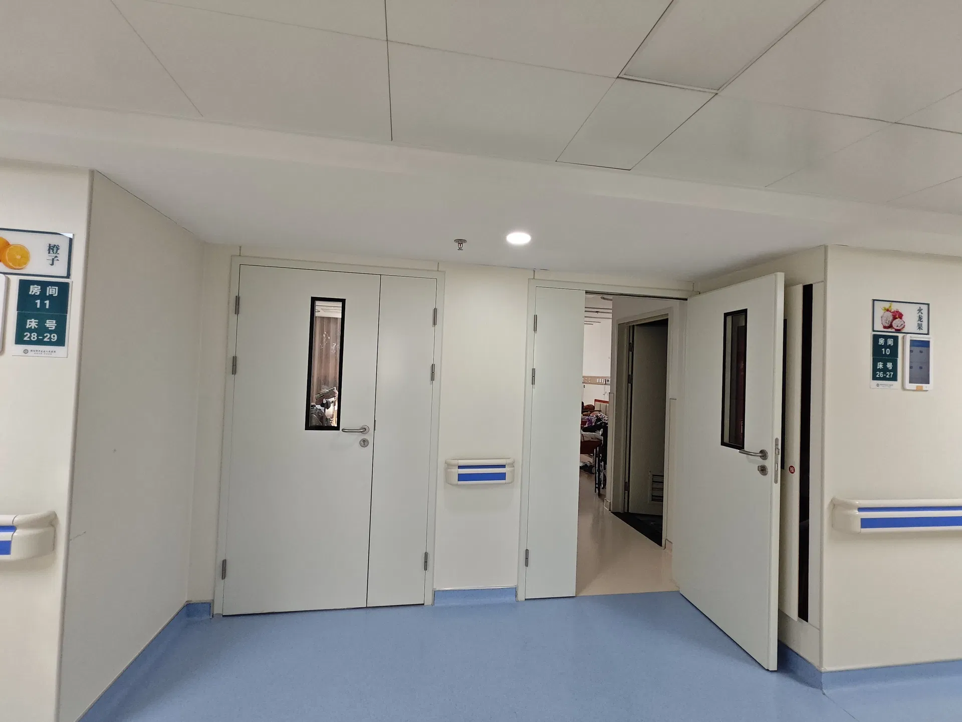 Cleanroom Door Application