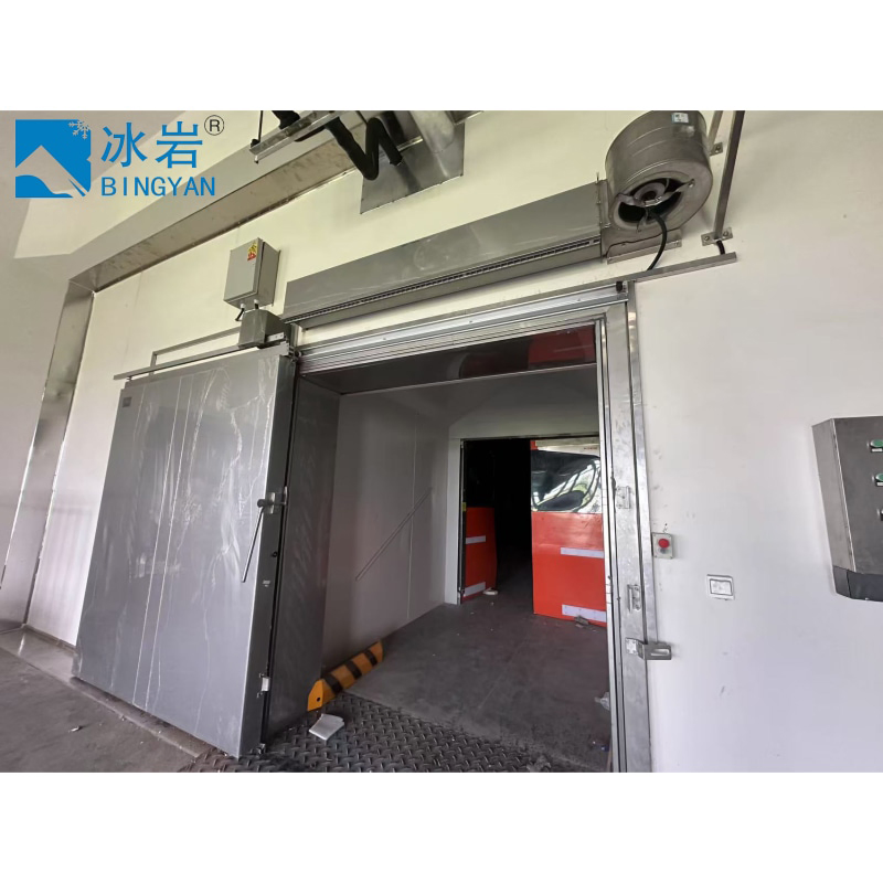 Manufacturer Best Selling High-Speed Anti-Collision Cold Storage Door