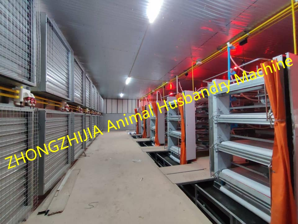 Factory Direct Sales Chicken Farm Equipment Laying Hen/Broiler Manure Cleaning Spray System Epidemic Prevention/Made in China