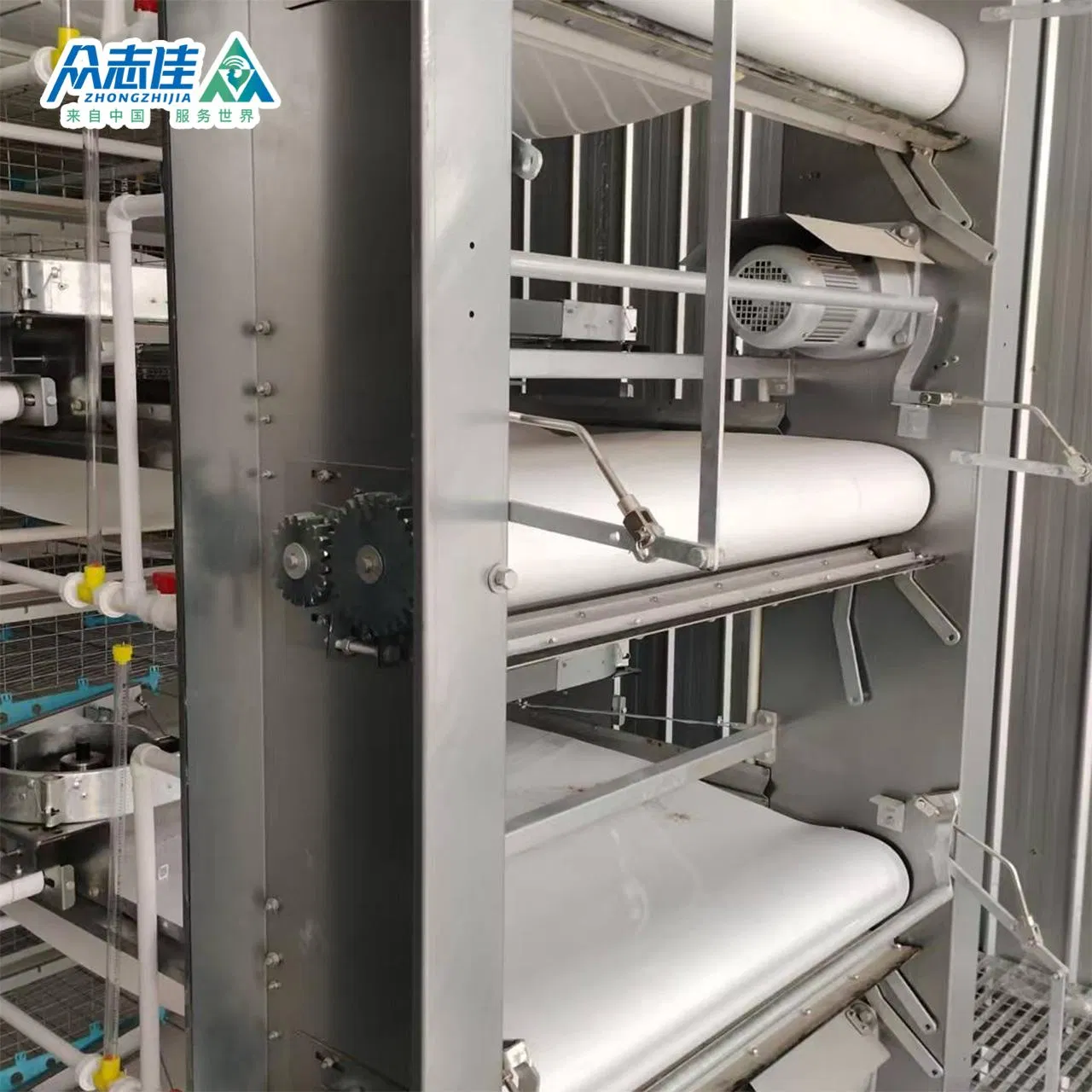 Automatic Layer Poultry Farming Equipment Battery Chicken Egg Cage System Galvanized Sale in Philippines