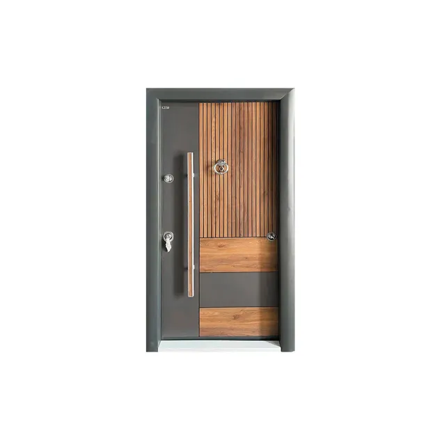 Security Door Feature 2