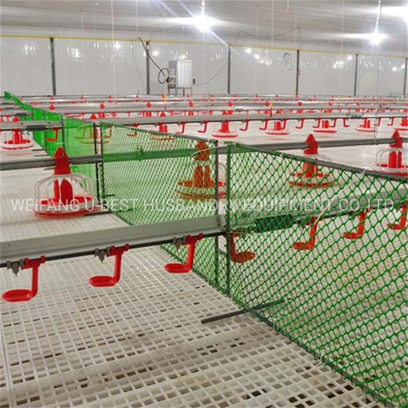 Chicken House Automatic Pan Feeder Broiler Nipple Drinking System