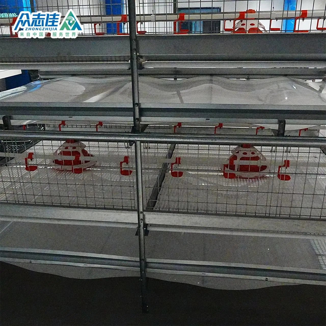 2026 Poultry Automatic Feeding System for Broiler Farm Poultry Farming Equipment Broiler Cage