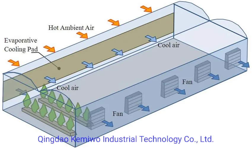 Cooling System Detail 1