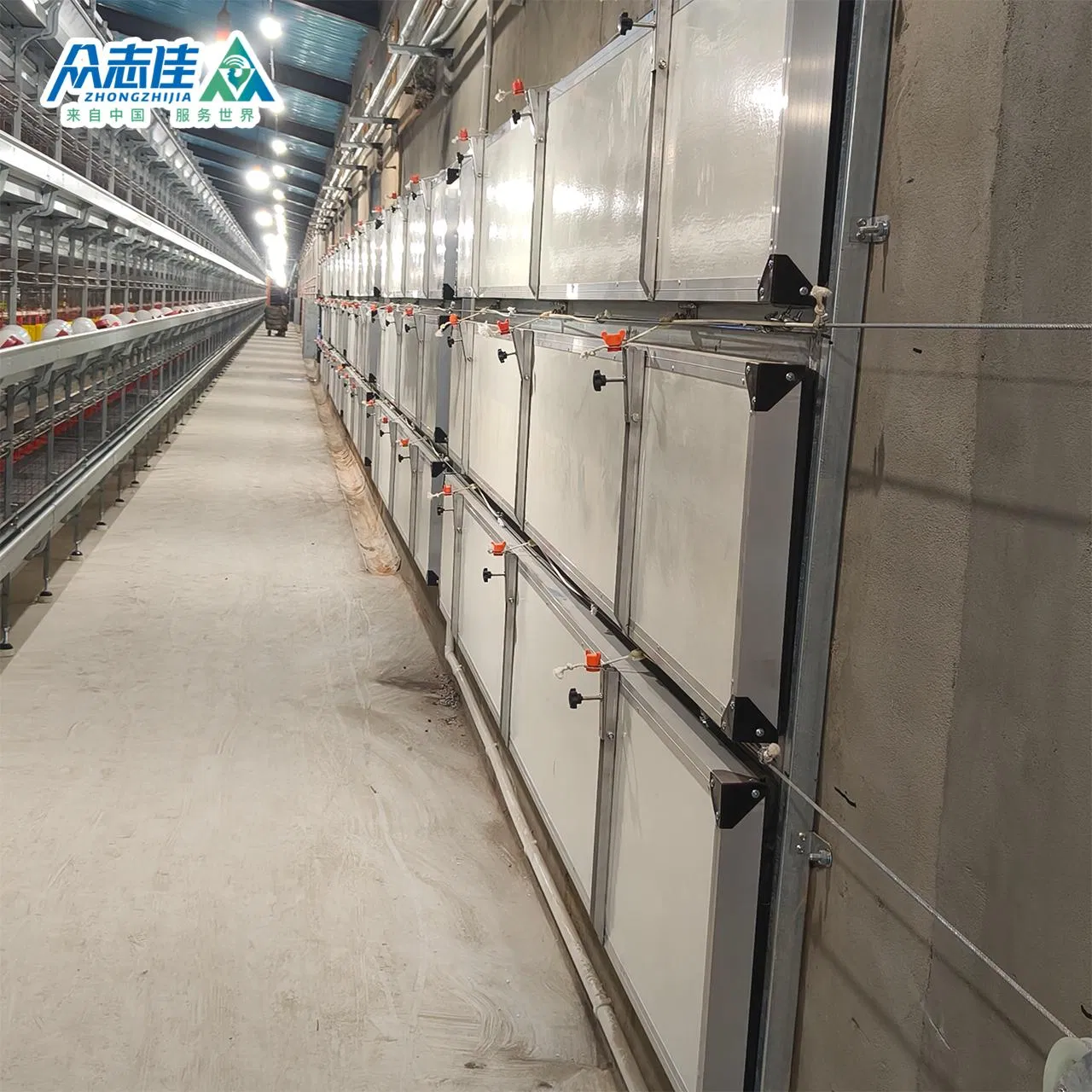 Poultry Automatic Feeding System for Broiler Farm Poultry Farming Equipment Broiler Cage