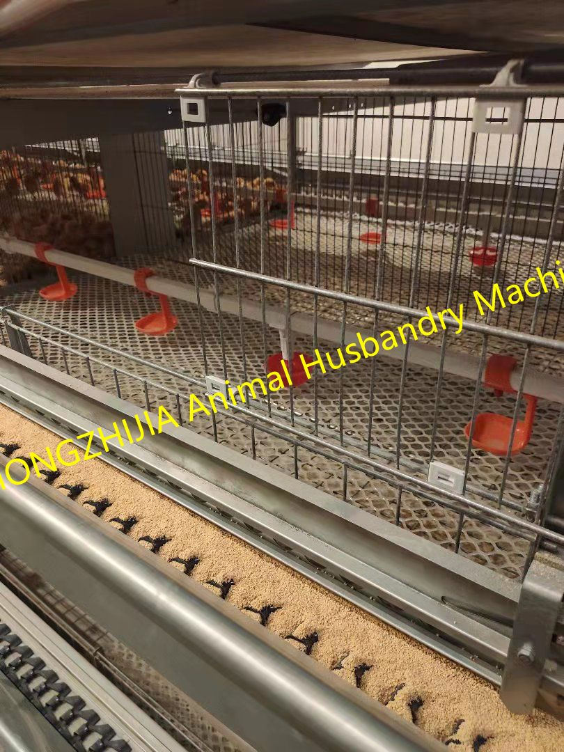 Customized 3-12 Tiers Poultry Farming Equipment H Type Chicken Battery Layer Broiler Cage System