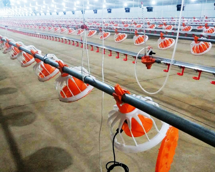 Chicken House Steel Structure Design Tunnel Broiler Machine Poultry Feeding Farm System