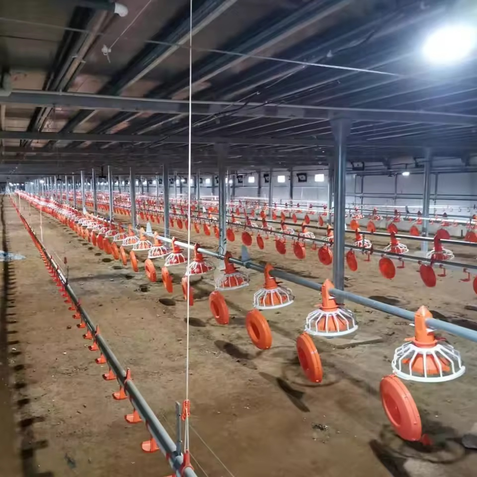 Automatic Poultry Farming Equipment Chicken House Broiler Pan Feeding System