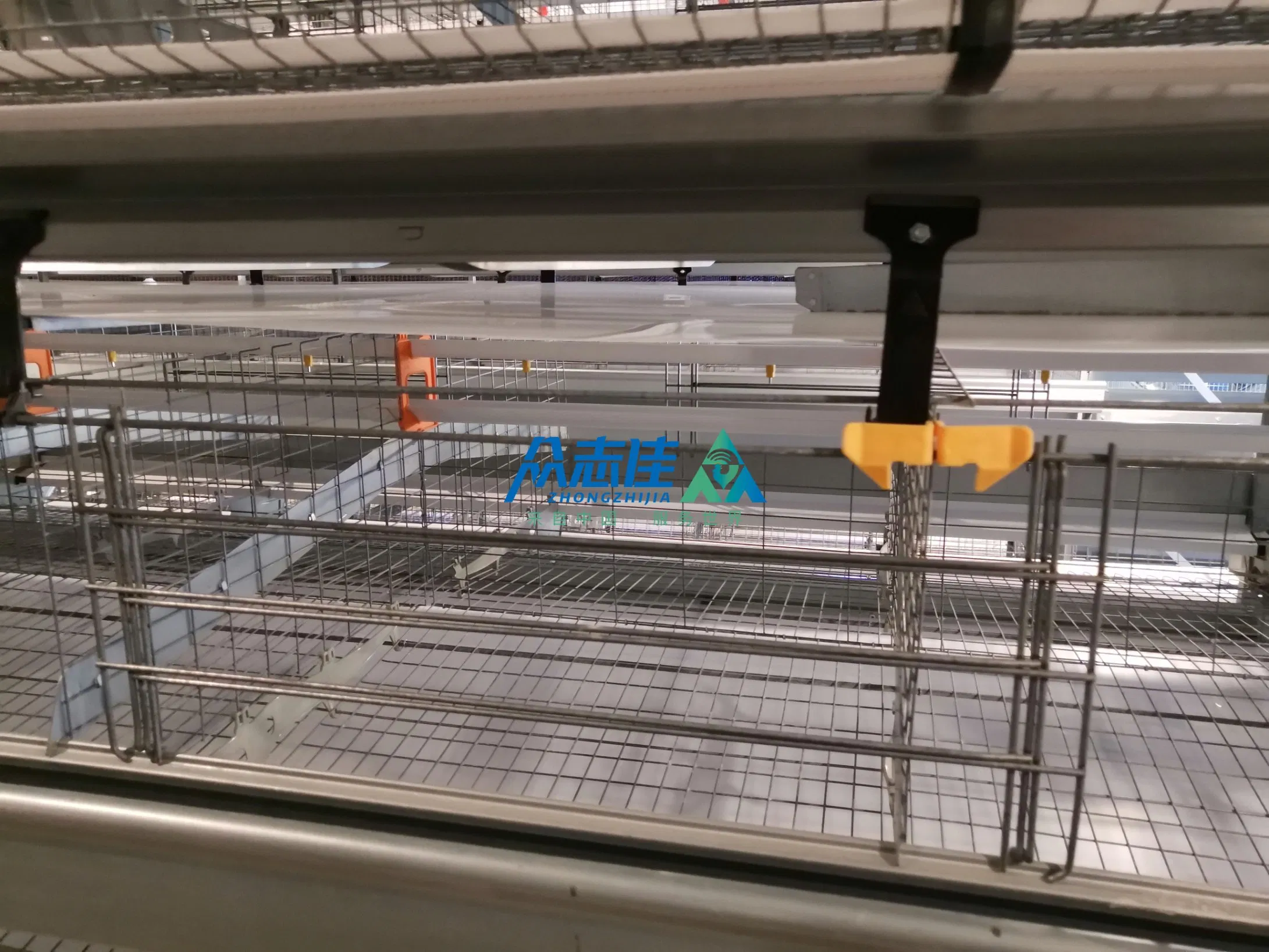 Customized 3-12 Tiers Poultry Farming Equipment H Type Chicken Battery Layer Broiler Cage System