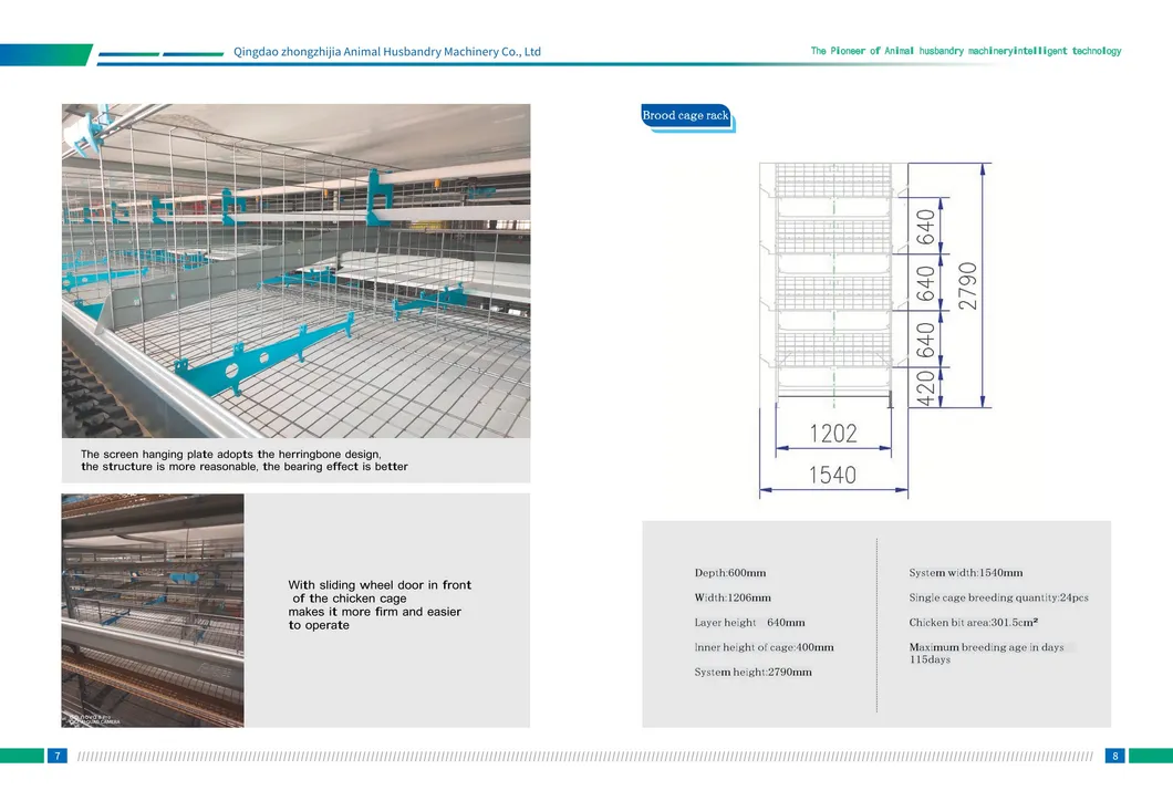 Automatic Layer Poultry Farming Equipment