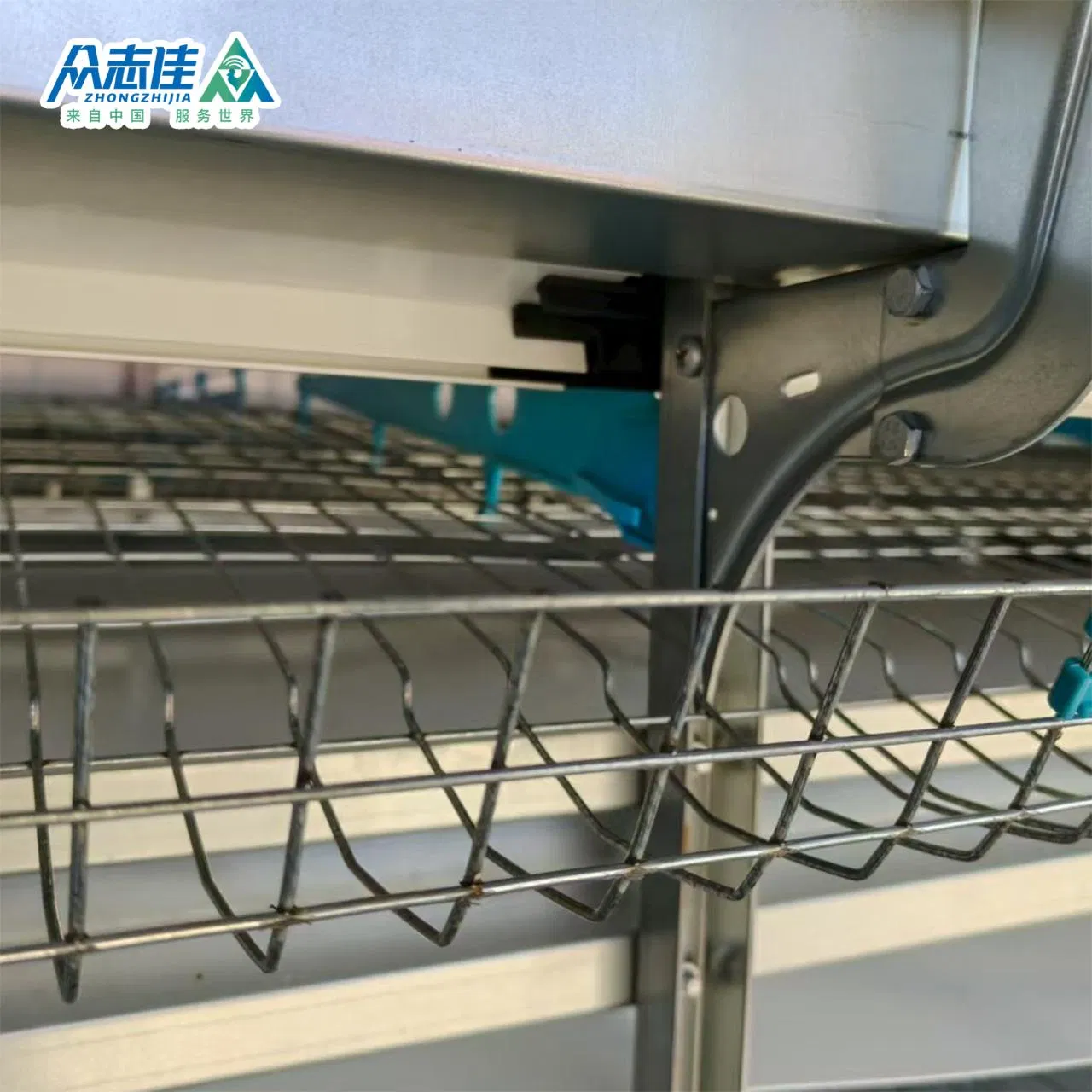 Automatic Layer Poultry Farming Equipment Battery Chicken Egg Cage System Galvanized Sale in Philippines