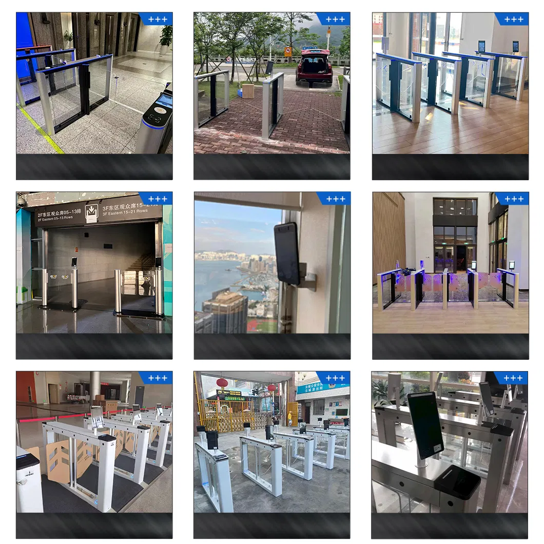 Global Case Projects