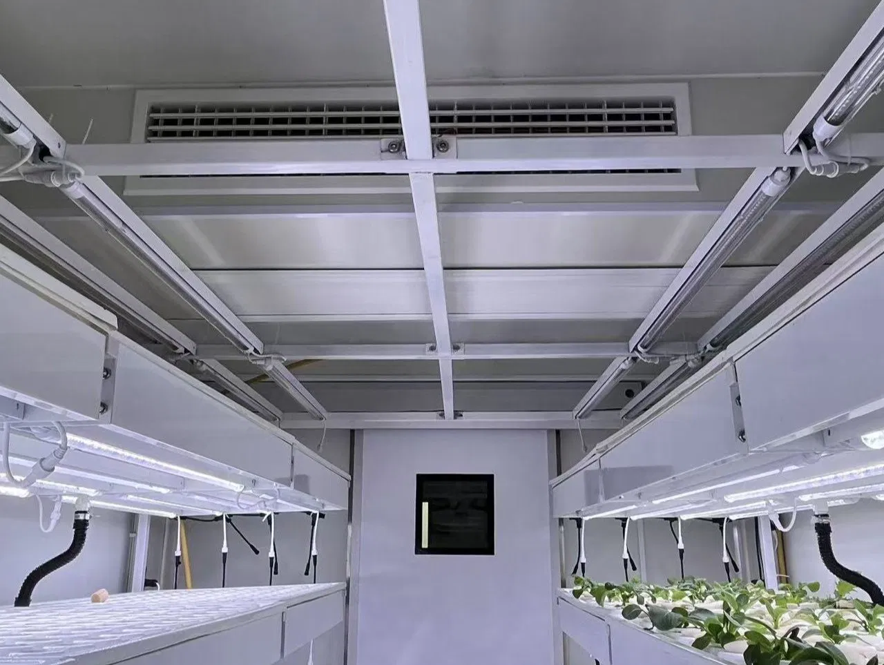 Sistema de tuberías de cultivo hidropónico vertical