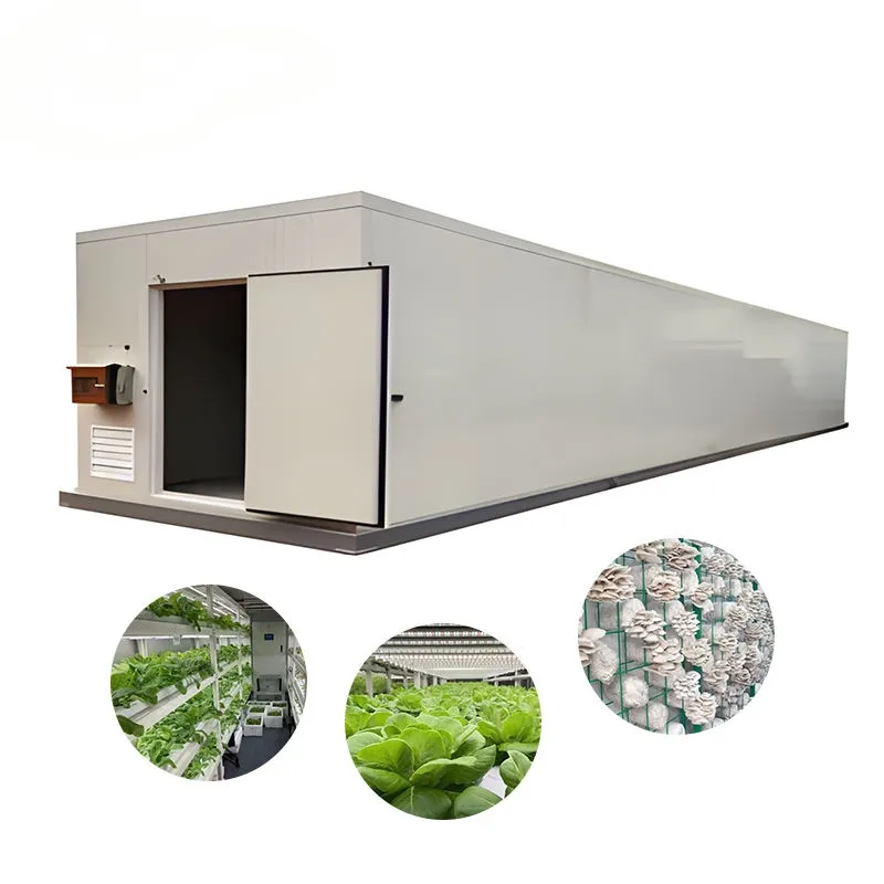 La fábrica de plantas en contenedor ofrece alimentos frescos a los complejos turísticos en granjas hidropónicas de contenedor y comunidades