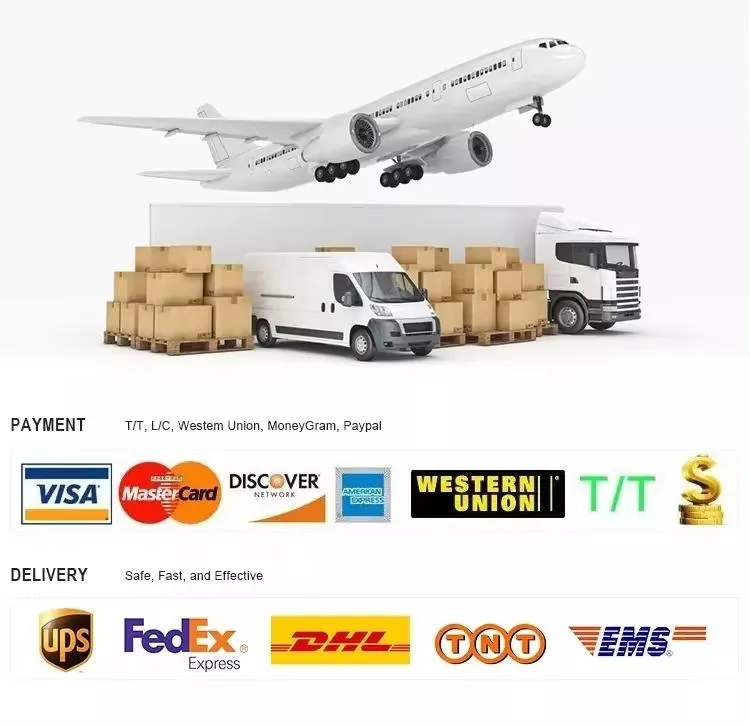 Payment & Delivery