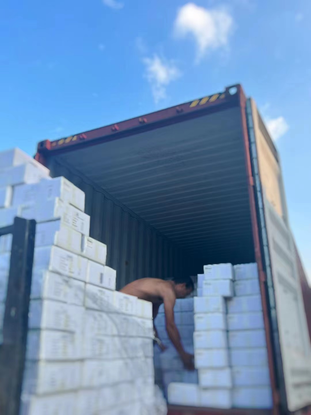 Carton Packing Process