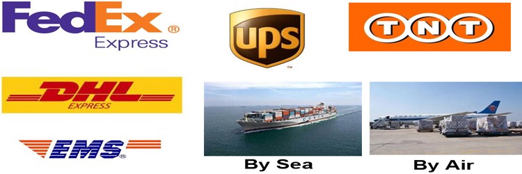 Logistics and Freight Operations