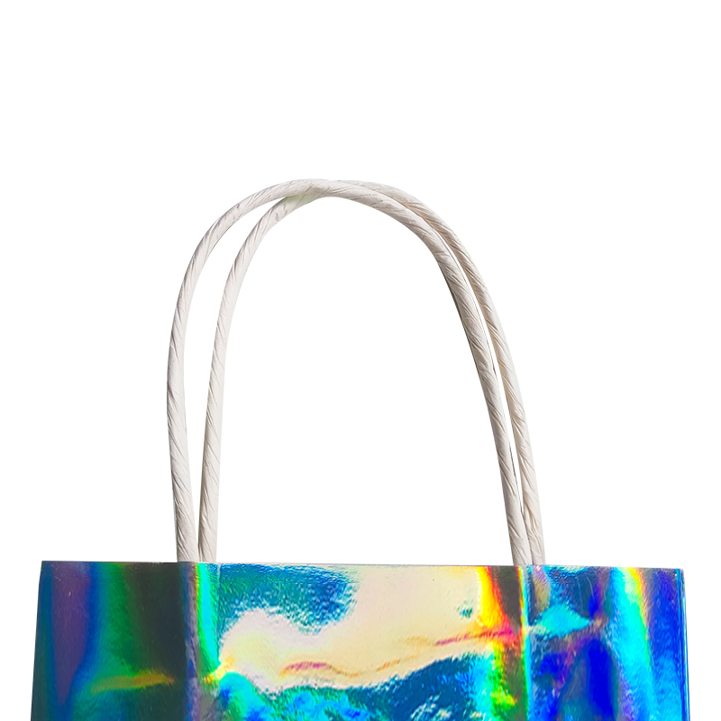 Party Paper Bag Style 6