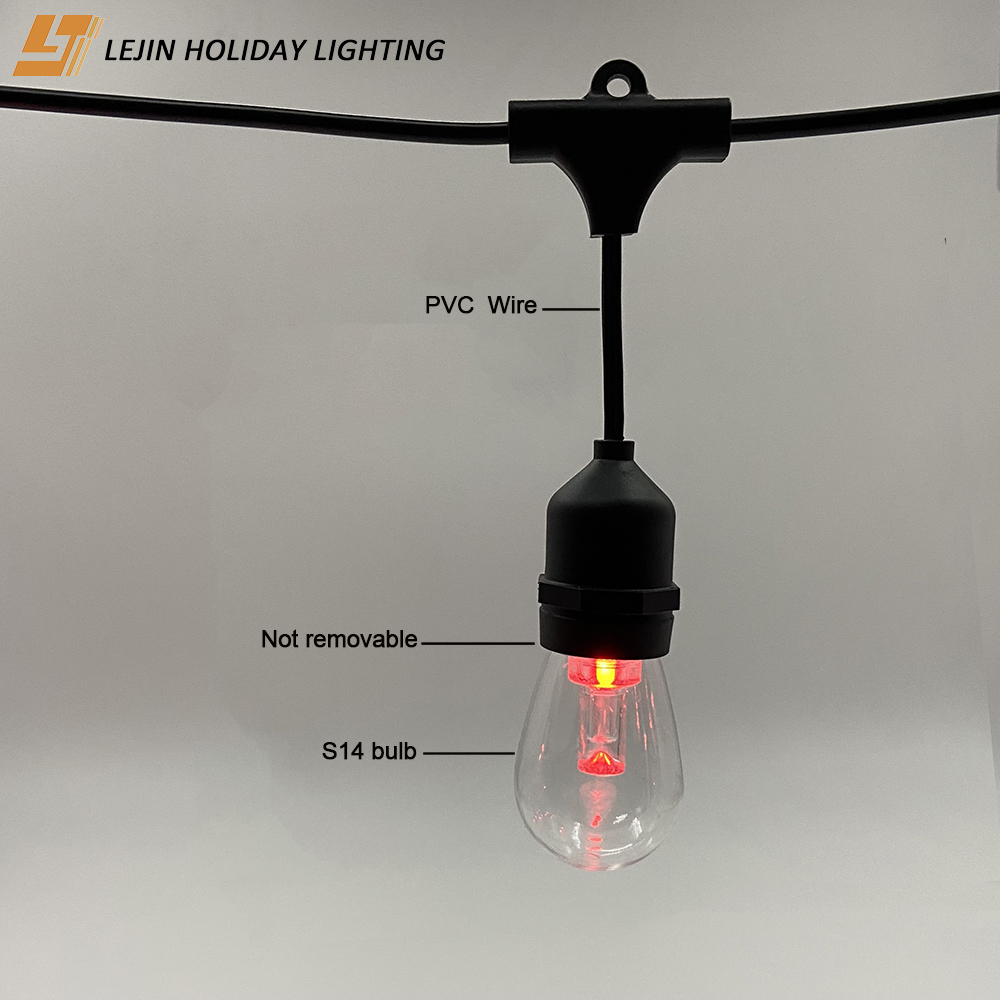 Hot Sale Outdoor Intelligent Led Smart Festoon Light for Holiday Decoration Garden Decoration