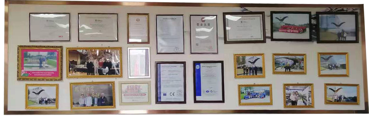 Certificate Display