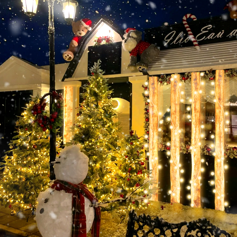 Aluminum Material IP65 Solar AC Powered 1m 2m Luminous Glowing LED Birch Tree Trunk Lighted Outdoor Decoration