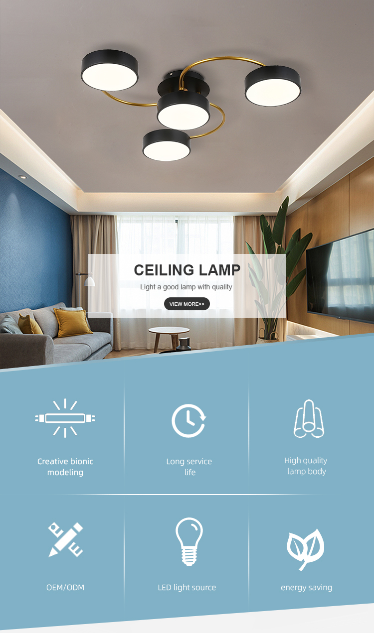 Customized Modern Indoor Decorative Lighting Living Room Surface Mounted Led Ceiling Lamp