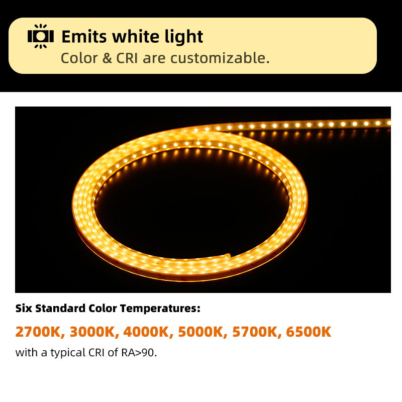 Custom Ultra-Thin Pvc Ip66 Waterproof Flexible Led Strip Light Neon Light for Outdoor Railing Tree Decoration Garden Park