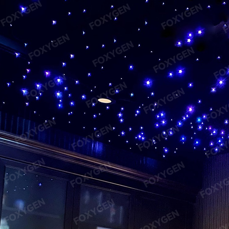 Starry Sky Ceiling Display 1