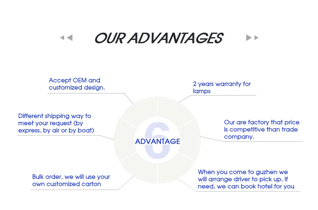Our Advantages Infographics