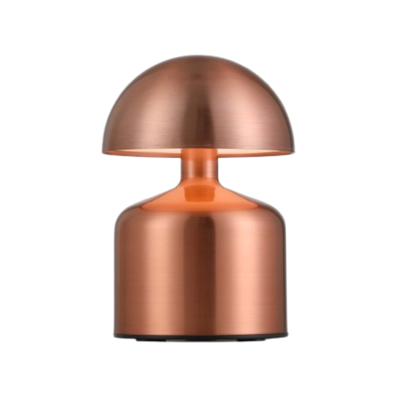 Product Description 1