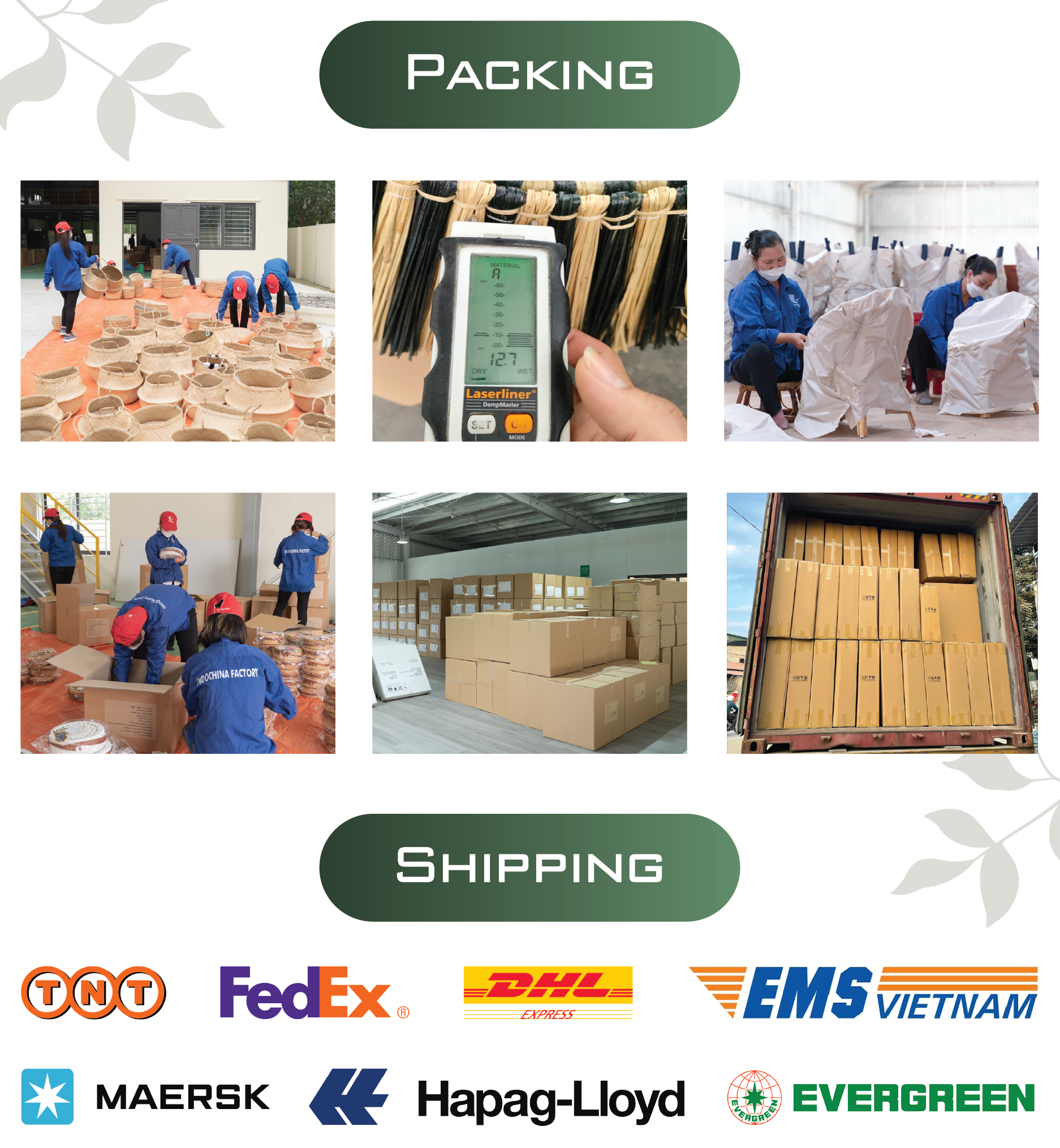 Packaging and Shipping Detail