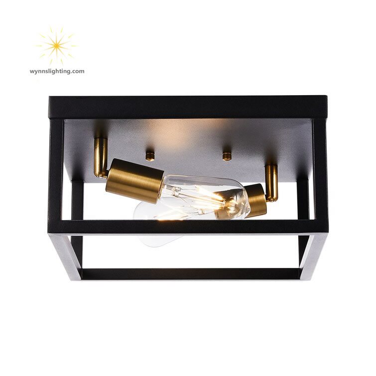 Amazon Best Selling Home Ceiling Lamp Black Iron Material Light Indoor Interior Decorative LED Ceiling Lighting