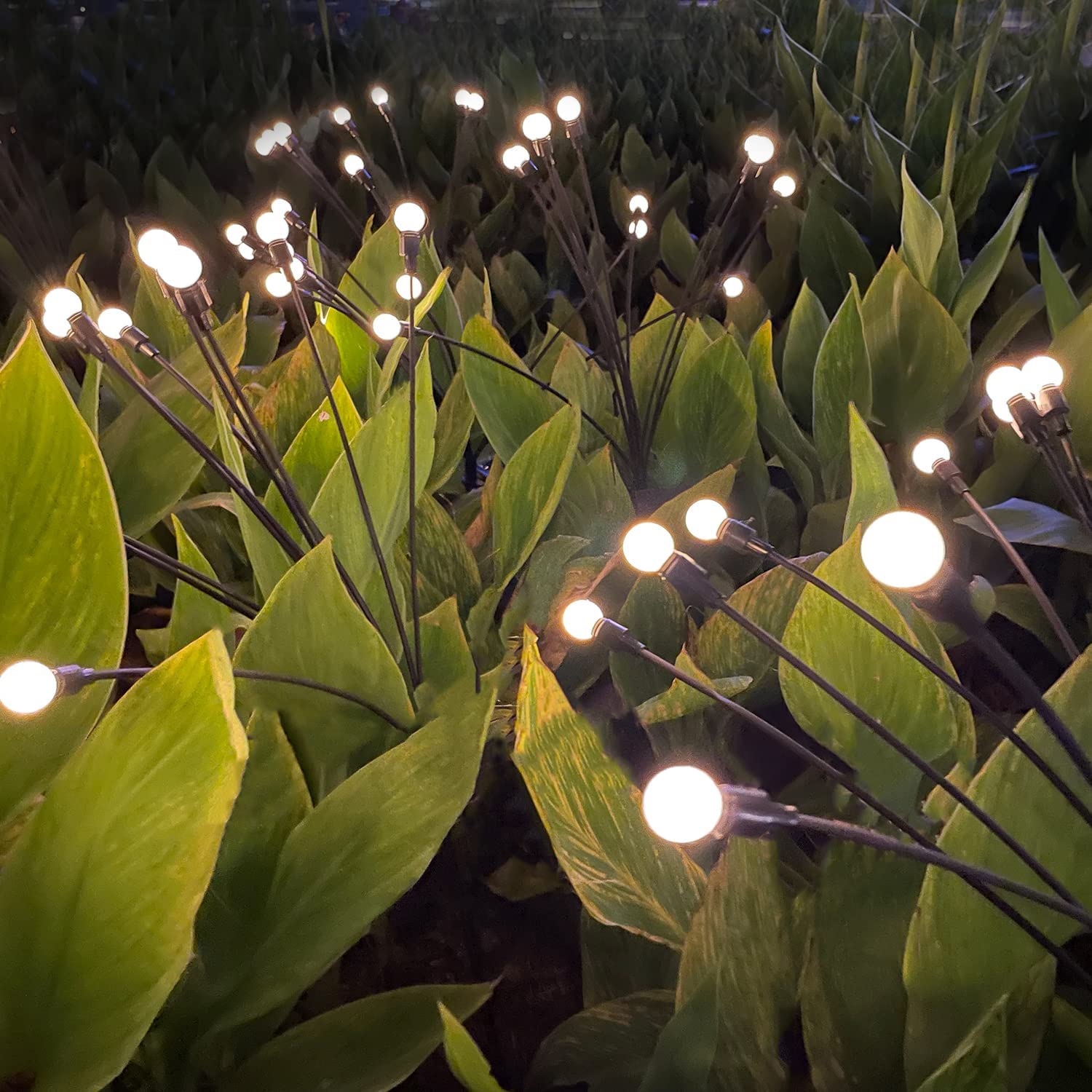 Solar Light View 1